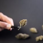 Looking for a reliable way to get high‑quality cannabis, marijuana, hemp, THC or CBD products delivered straight to your doorstep in Luxembourg? img-1187.jpg
