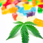 Szczecin Cannabis Shop: Your Guide to Legal THC Products img-1272.jpg