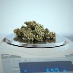 Cannabis Shop Salzburg: Premium Cannabis, Medical, and CBD Products img-2132.jpg