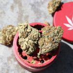 Budapest weed shop img-2707.jpg